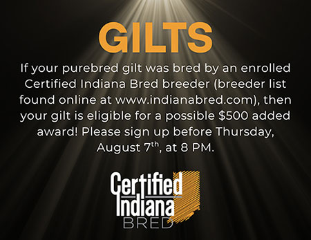 Gilt Registration
